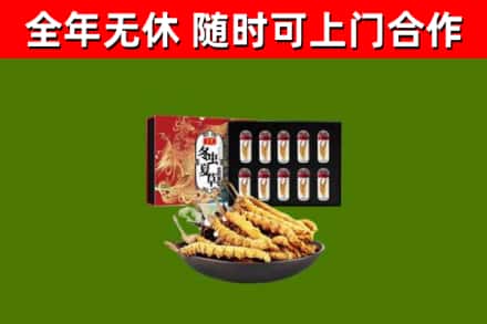 通辽回收冬虫夏草价格